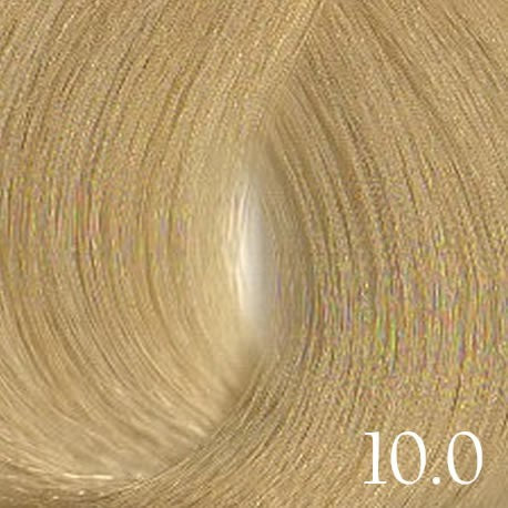 Tinte Sintesis (1+1.5) 100ml