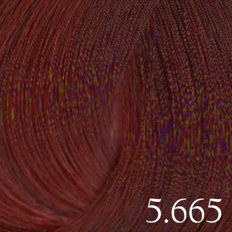 Tinte Sintesis (1+1.5) 100ml